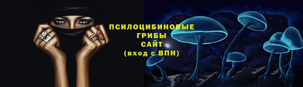 ECSTASY Богданович
