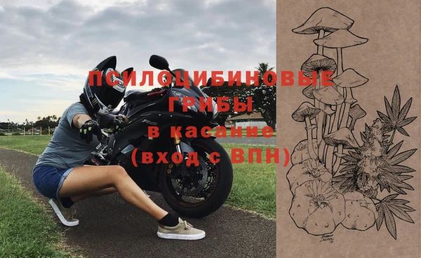 гашик Беломорск