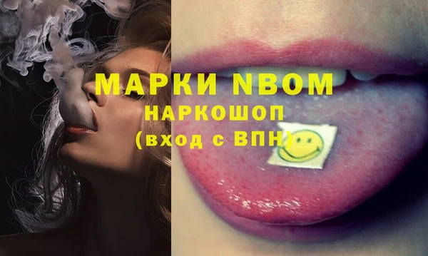 ECSTASY Богданович